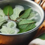 Banho de Boldo na Umbanda